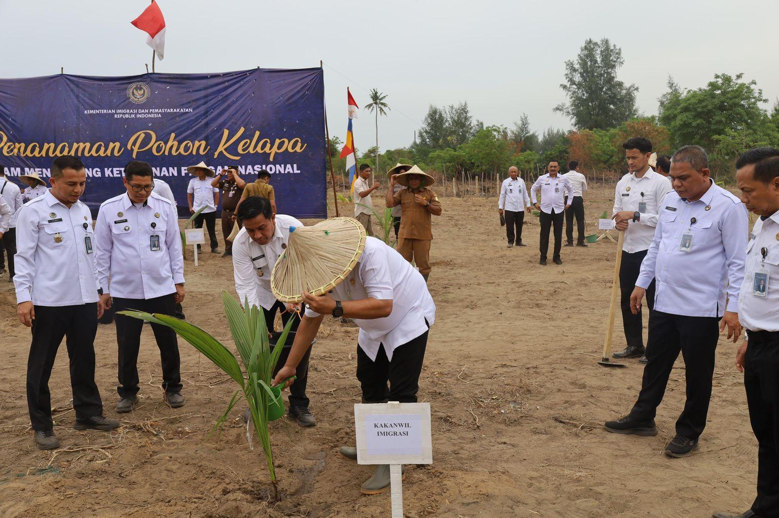 tanam kelapa